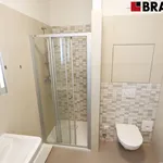 Rent 1 bedroom apartment of 28 m² in Brno