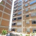 Rent 1 bedroom apartment in Benoni