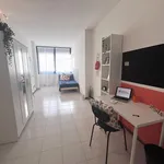 Rent 9 bedroom apartment in Trento