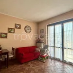 Villa in affitto a Mesero via Brigate di Dio, arredato, giardino privato, terrazzo - TrovaCasa