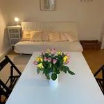 Rent 1 bedroom apartment of 50 m² in Hanover