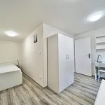 Rent 1 bedroom apartment in Brno