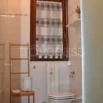 Rent 2 bedroom apartment of 56 m² in Bologna