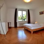 Miete 2 Schlafzimmer wohnung von 753 m² in Zurich