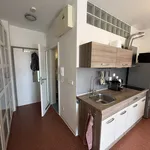 Pronajměte si 1 ložnic/e byt o rozloze 30 m² v Prague