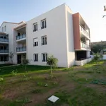 Rent 2 bedroom apartment of 47 m² in Fréjus