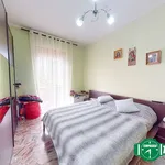 Rent 2 bedroom apartment of 65 m² in Alessandria