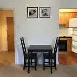 Rent 1 bedroom apartment in dublin