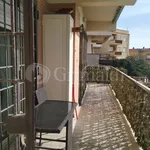 Rent 3 bedroom apartment of 90 m² in Anzio