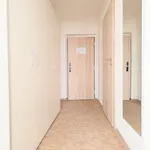 Rent 1 bedroom apartment in Prague