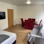 Rent 3 bedroom apartment of 75 m² in Bayreuth