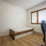 Rent 4 bedroom apartment of 134 m² in Capital City of Prague