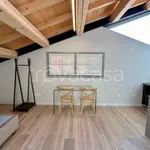 Rent 1 bedroom apartment of 30 m² in Tregnago