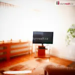 Rent 3 bedroom apartment of 73 m² in Mladá Boleslav