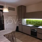 Rent 1 bedroom apartment of 42 m² in San Giovanni in Persiceto