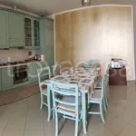 Rent 2 bedroom apartment of 60 m² in Spotorno