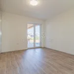 Rent 1 bedroom house of 210 m² in Veselí nad Lužnicí