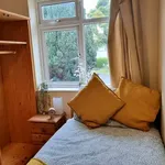 Rent a room in dublin