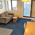 Rent 4 bedroom apartment in Dublin