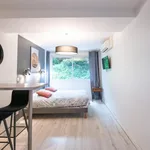 Rent 1 bedroom apartment of 28 m² in Lyon