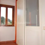 Rent 3 bedroom apartment of 60 m² in Livorno