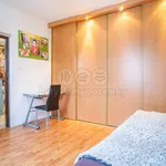 Rent 5 bedroom apartment in Karlovy Vary