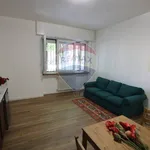 Rent 2 bedroom apartment of 55 m² in Saronno