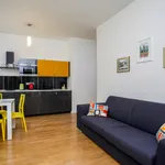 Rent 1 bedroom apartment of 50 m² in Prague