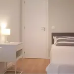 Rent 3 bedroom apartment in Madrid