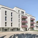 Rent 2 bedroom apartment of 52 m² in Vienna