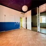 Rent 5 bedroom house of 200 m² in Seravezza