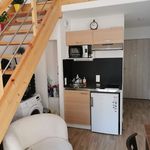 Rent 1 bedroom apartment of 33 m² in La