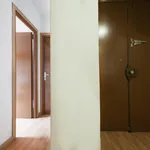 Rent 8 bedroom apartment in Madrid