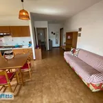 Bilocale arredato con terrazzo Tortoreto lido