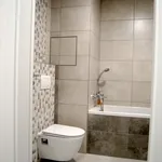 Rent 1 bedroom apartment of 39 m² in Pilsen