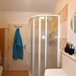 Rent 1 bedroom apartment in Capital City of Prague