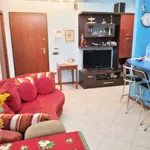 Rent 2 bedroom apartment of 55 m² in Prato