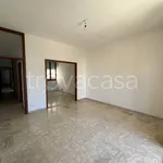 Rent 3 bedroom apartment of 80 m² in Cavallino