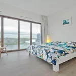 Rent 2 bedroom apartment of 105 m² in Amsterdam