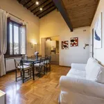 Rent 1 bedroom apartment in florence