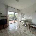 Rent 3 bedroom apartment of 80 m² in Nerviano