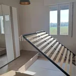 Rent 4 bedroom apartment of 95 m² in Modena