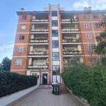 Rent 3 bedroom apartment of 90 m² in Roma