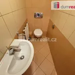 Rent 1 bedroom apartment of 30 m² in Praha