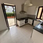 Rent 3 bedroom apartment of 73 m² in Grottaferrata