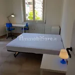 Rent 3 bedroom apartment of 60 m² in Rome