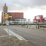 Rent 2 bedroom apartment of 90 m² in Rotterdam