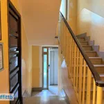 Rent 3 bedroom apartment of 80 m² in Turin