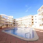 Alquilo 1 dormitorio apartamento de 50 m² en Orihuela