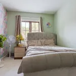 Rent 4 bedroom house in Basingstoke and Deane